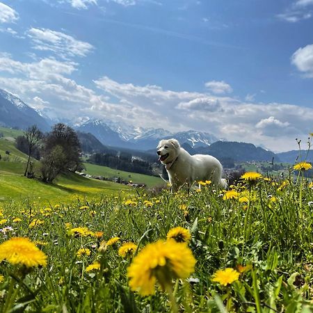 Fewo Laengerer Apartamento Sonthofen Exterior foto