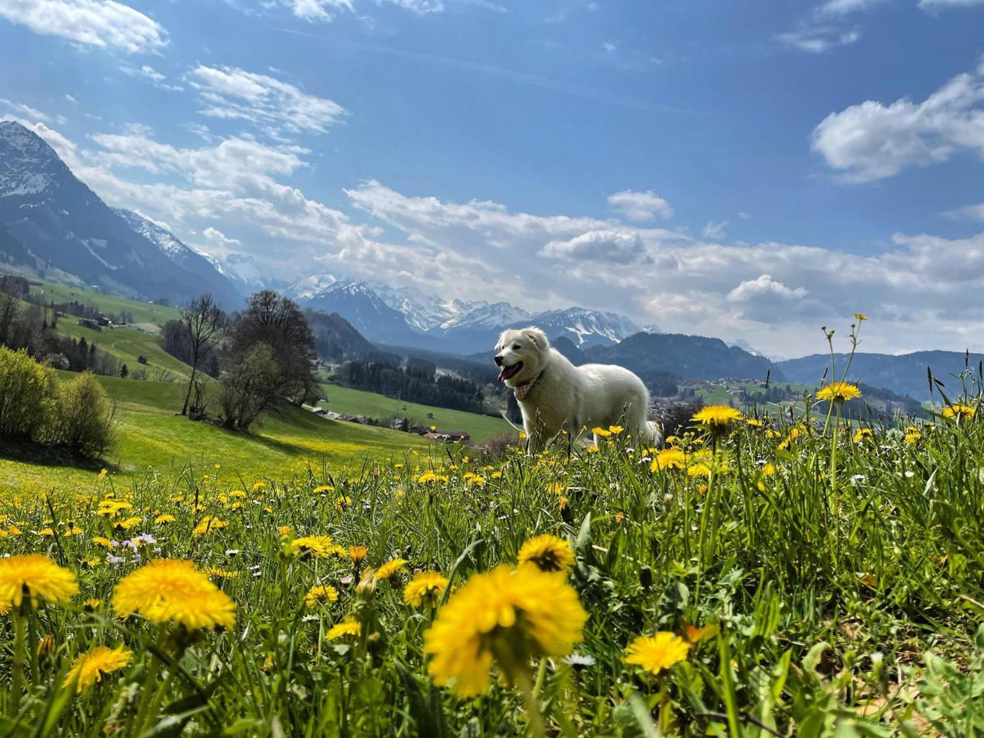 Fewo Laengerer Apartamento Sonthofen Exterior foto